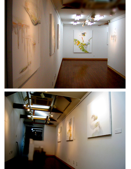 The sequence of daily discovery / 日々の発見のつらなり 個展風景